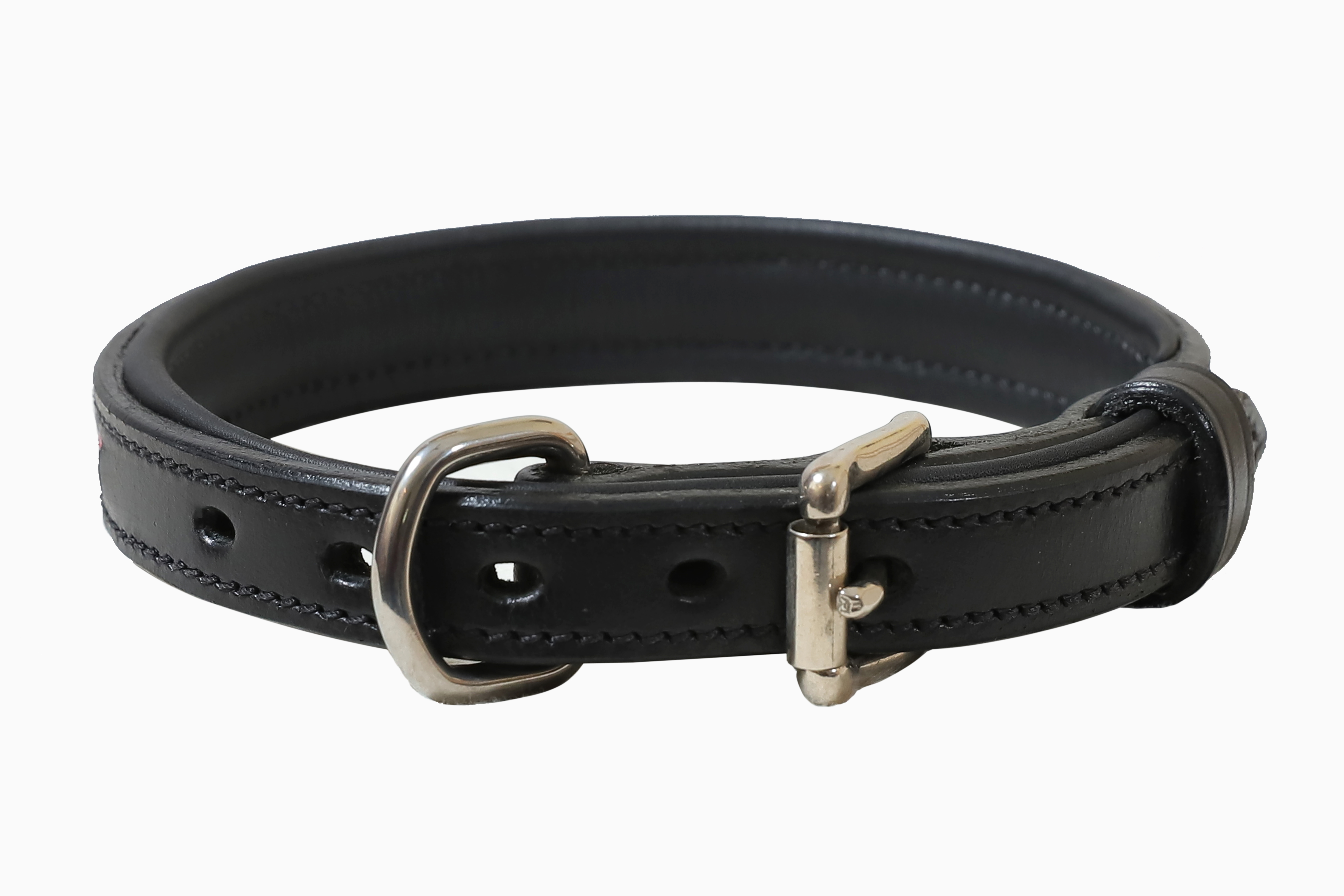 Dog Collars Shiny